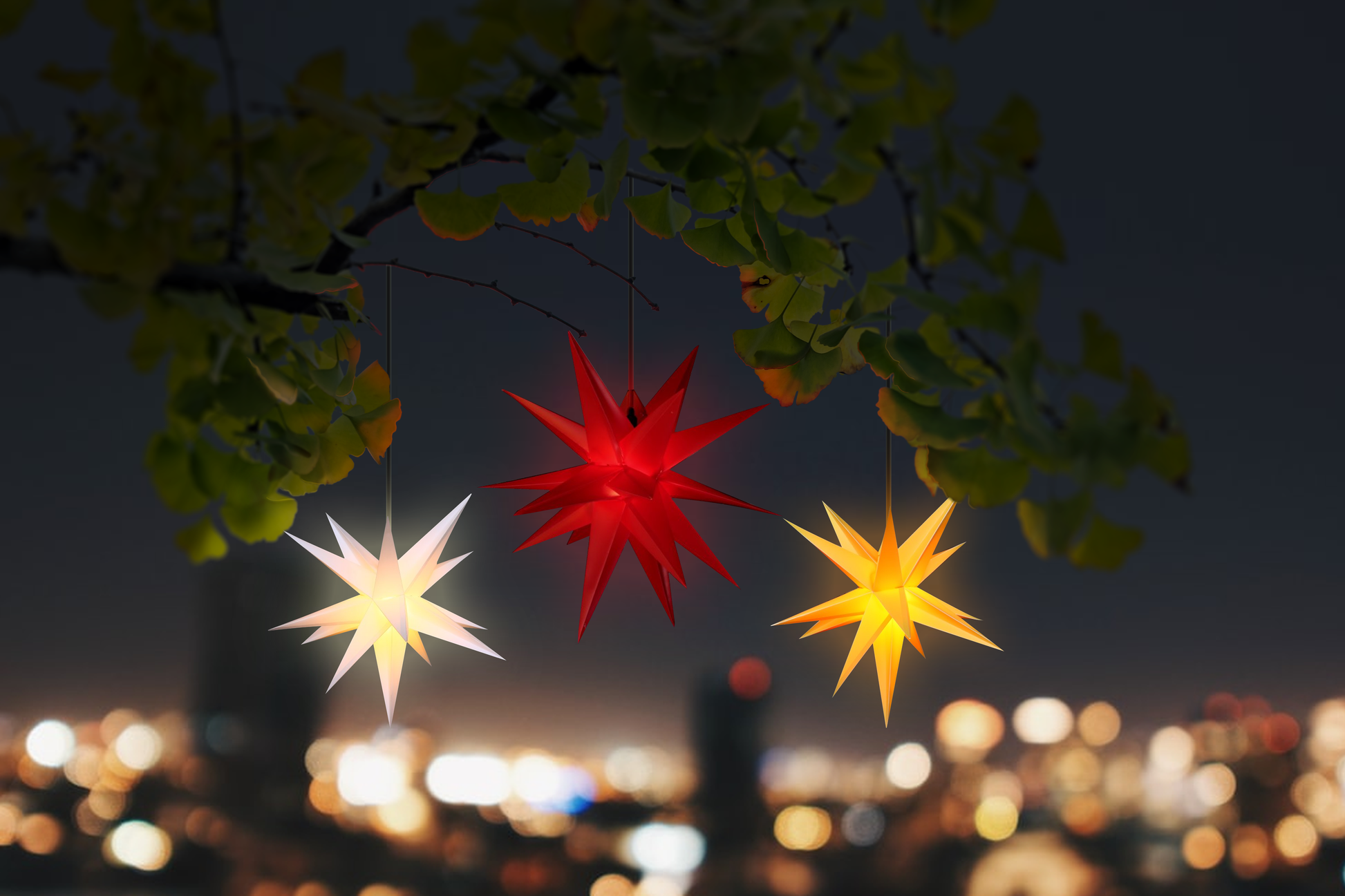 3D Christmas stars for your tree in the backyard